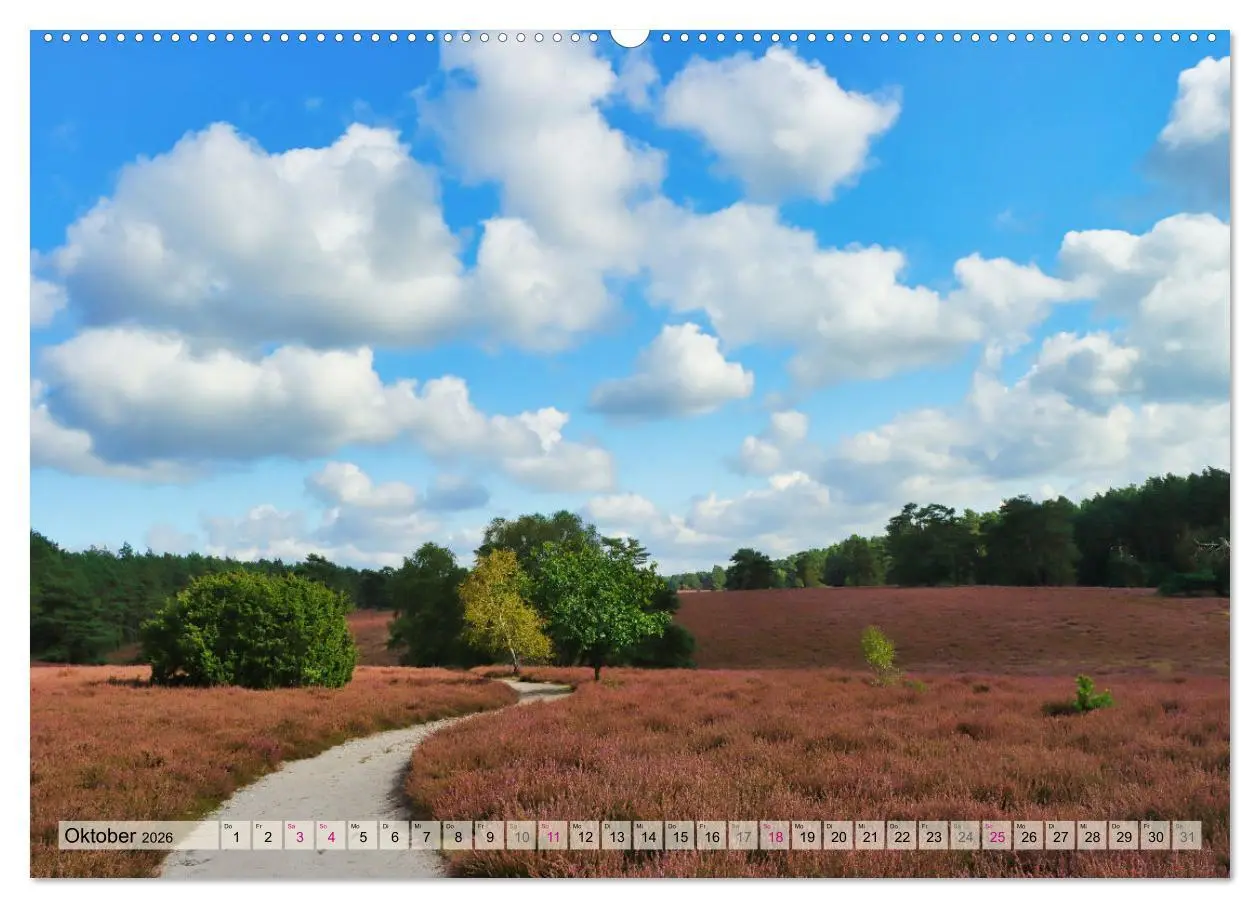 Bild: 9783457339732 | Lüneburger Südheide (hochwertiger Premium Wandkalender 2026 DIN A2...