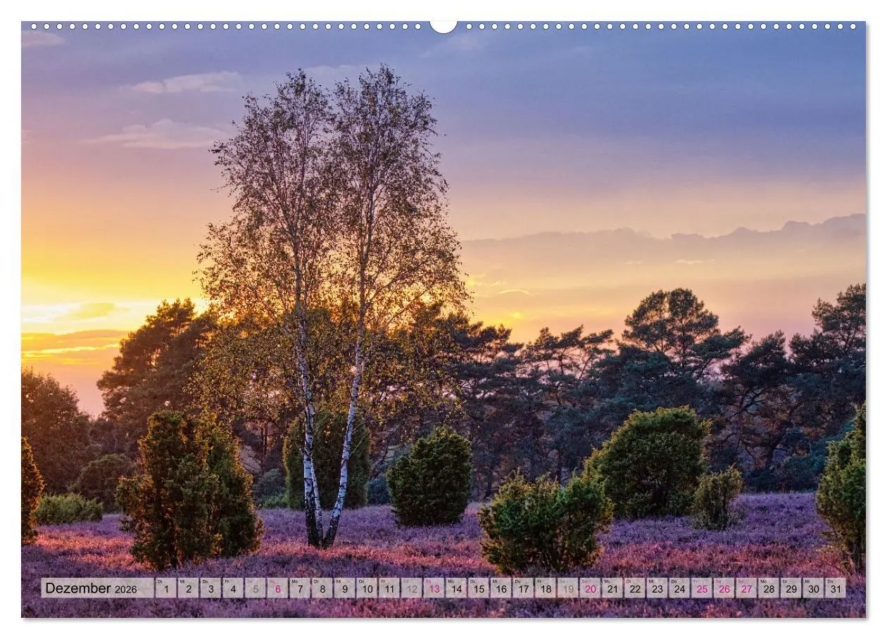 Bild: 9783457339732 | Lüneburger Südheide (hochwertiger Premium Wandkalender 2026 DIN A2...