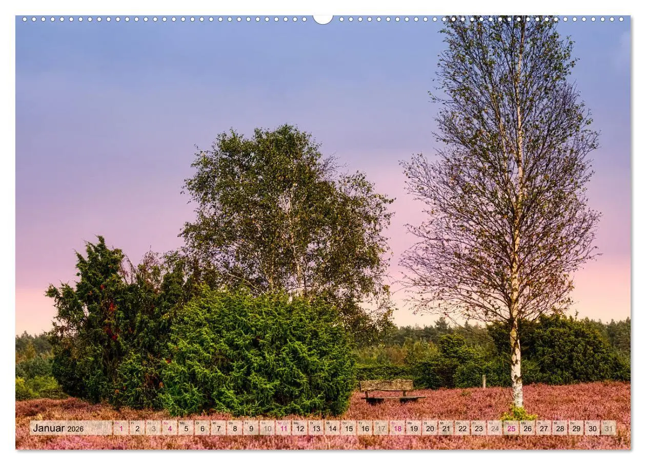 Bild: 9783457339732 | Lüneburger Südheide (hochwertiger Premium Wandkalender 2026 DIN A2...
