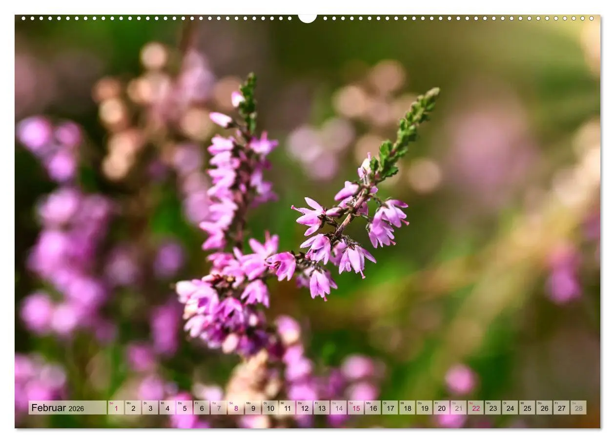 Bild: 9783457339732 | Lüneburger Südheide (hochwertiger Premium Wandkalender 2026 DIN A2...