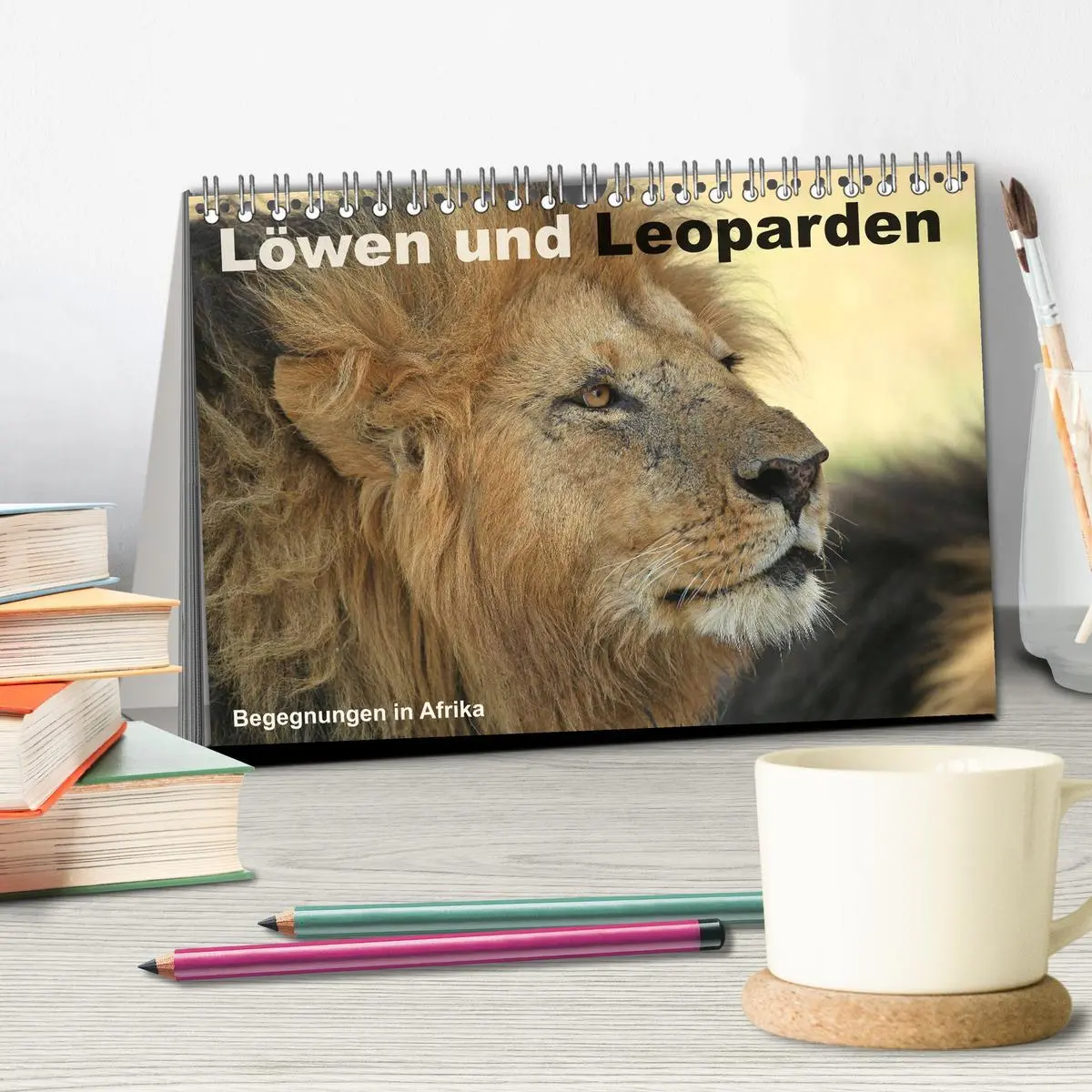 Bild: 9783516049732 | Löwen und Leoparden - Begegnungen in Afrika (Tischkalender 2026 DIN...