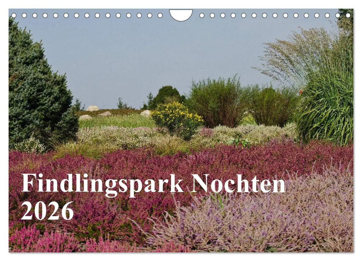 Cover: 9783516119732 | Findlingspark Nochten 2026 (Wandkalender 2026 DIN A4 quer),...