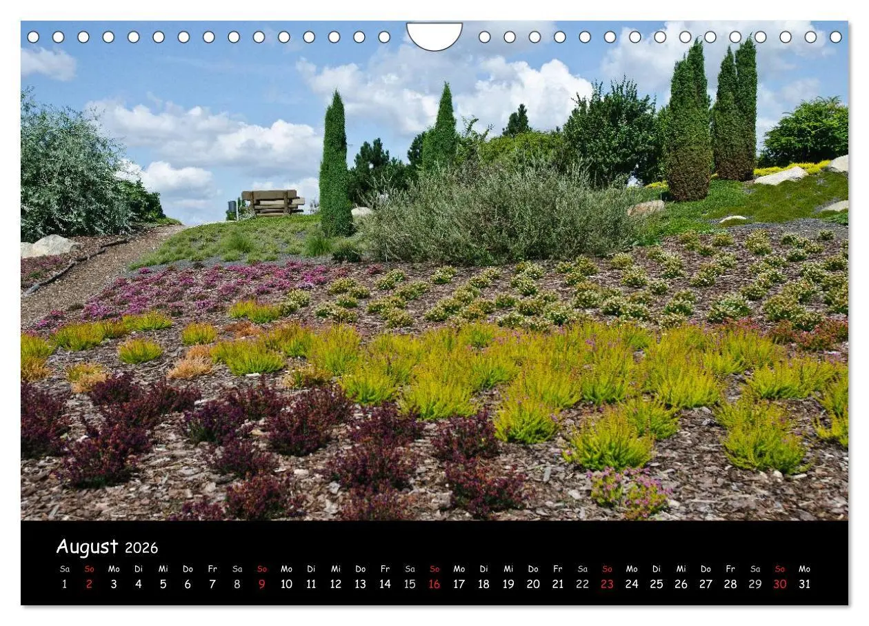 Bild: 9783516119732 | Findlingspark Nochten 2026 (Wandkalender 2026 DIN A4 quer),...