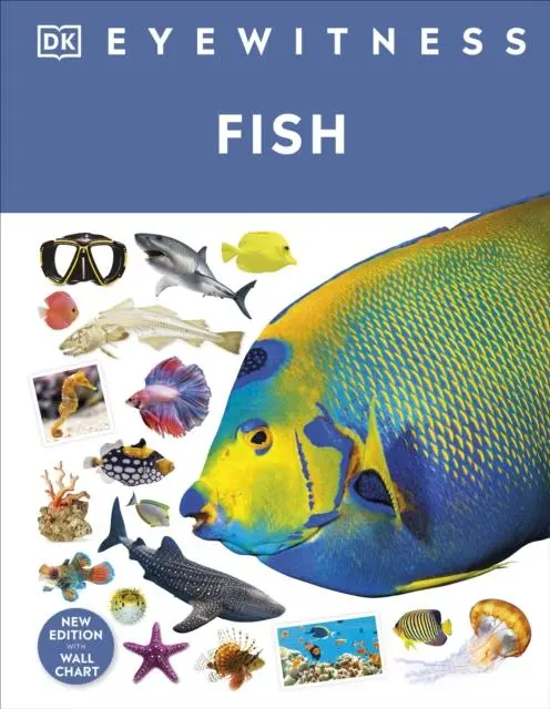 Cover: 9780241569832 | Fish | Dk | Buch | Gebunden | Englisch | 2022 | Dorling Kindersley Ltd