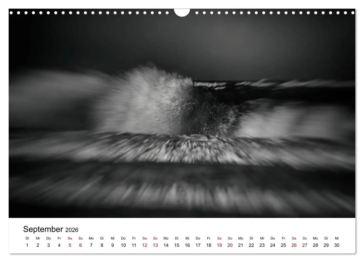 Bild: 9783457879832 | Sylt ... bewegt (Wandkalender 2026 DIN A3 quer), CALVENDO...
