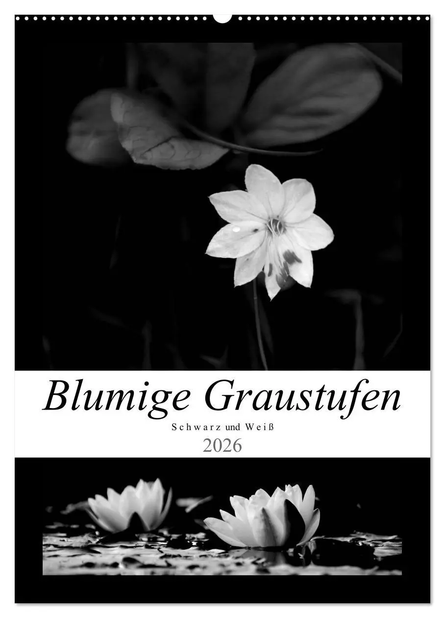 Cover: 9783516419832 | Blumige Graustufen - Schwarz und Weiß (Wandkalender 2026 DIN A2...
