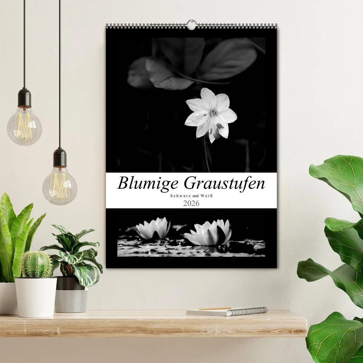 Bild: 9783516419832 | Blumige Graustufen - Schwarz und Weiß (Wandkalender 2026 DIN A2...