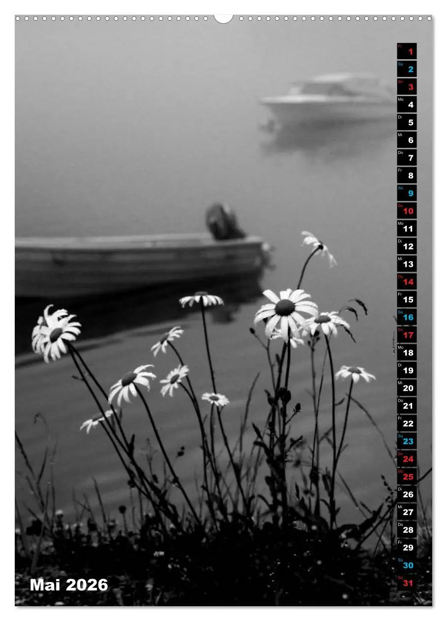 Bild: 9783516419832 | Blumige Graustufen - Schwarz und Weiß (Wandkalender 2026 DIN A2...