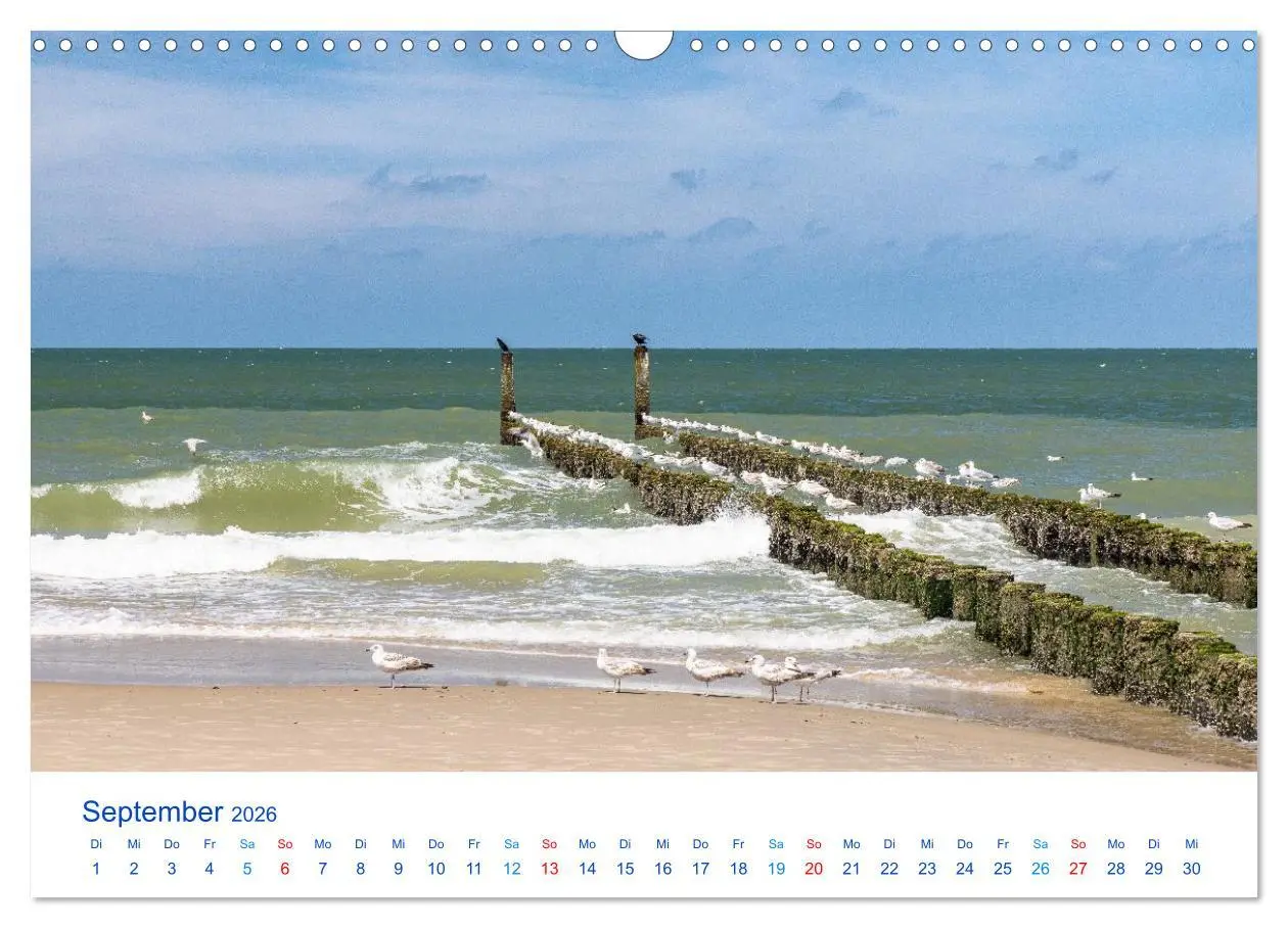 Bild: 9783516649932 | Sommer in Seeland (Wandkalender 2026 DIN A3 quer), CALVENDO...