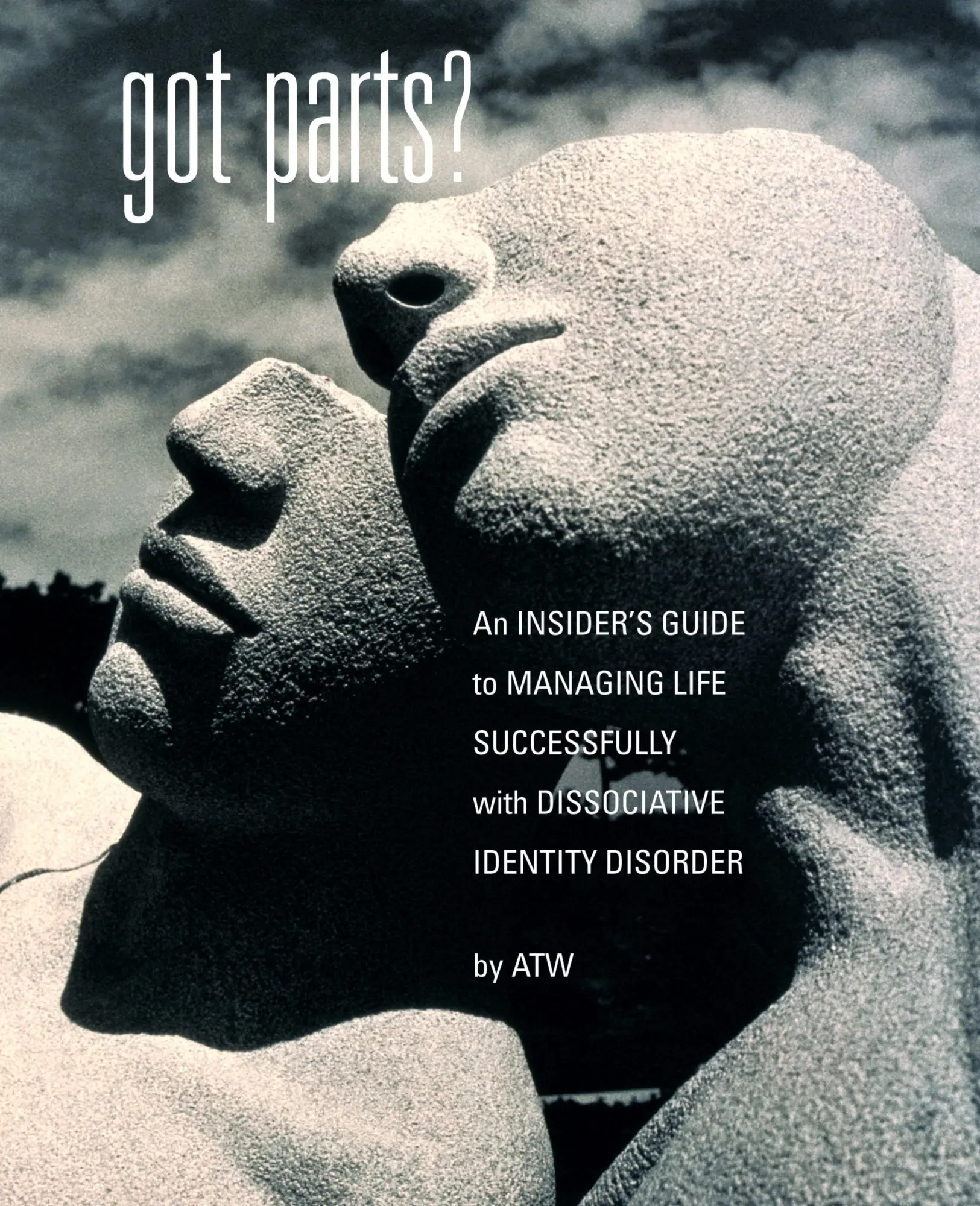 Cover: 9781932690033 | Got Parts? | A. T. W. | Taschenbuch | Kartoniert / Broschiert | 2005