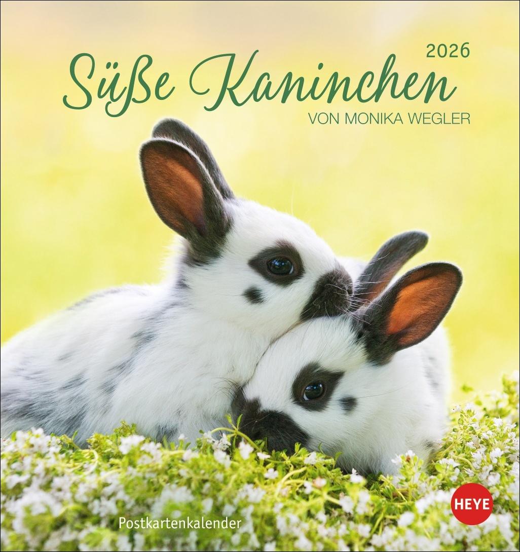 Cover: 9783756410033 | Süße Kaninchen Postkartenkalender 2026 | Monika Wegler | Kalender
