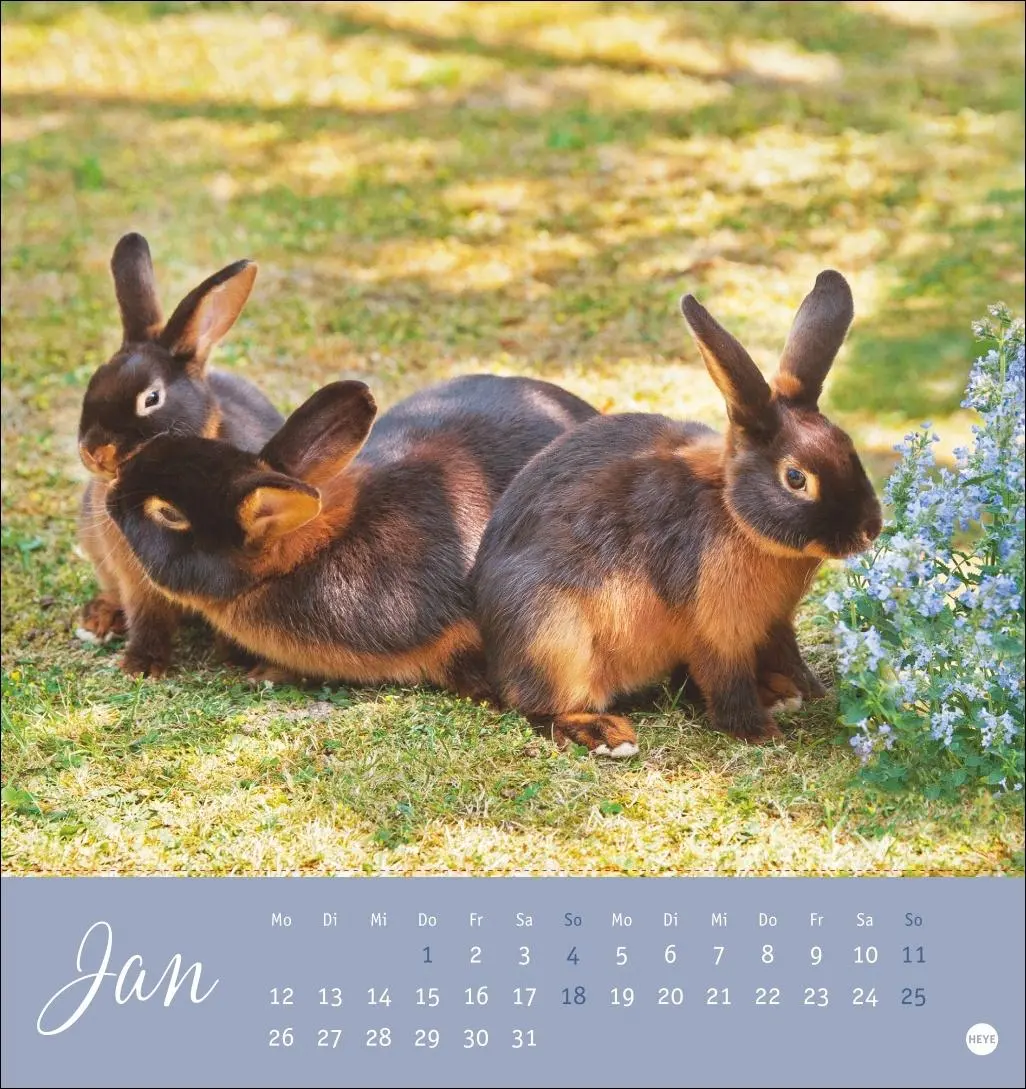Bild: 9783756410033 | Süße Kaninchen Postkartenkalender 2026 | Monika Wegler | Kalender