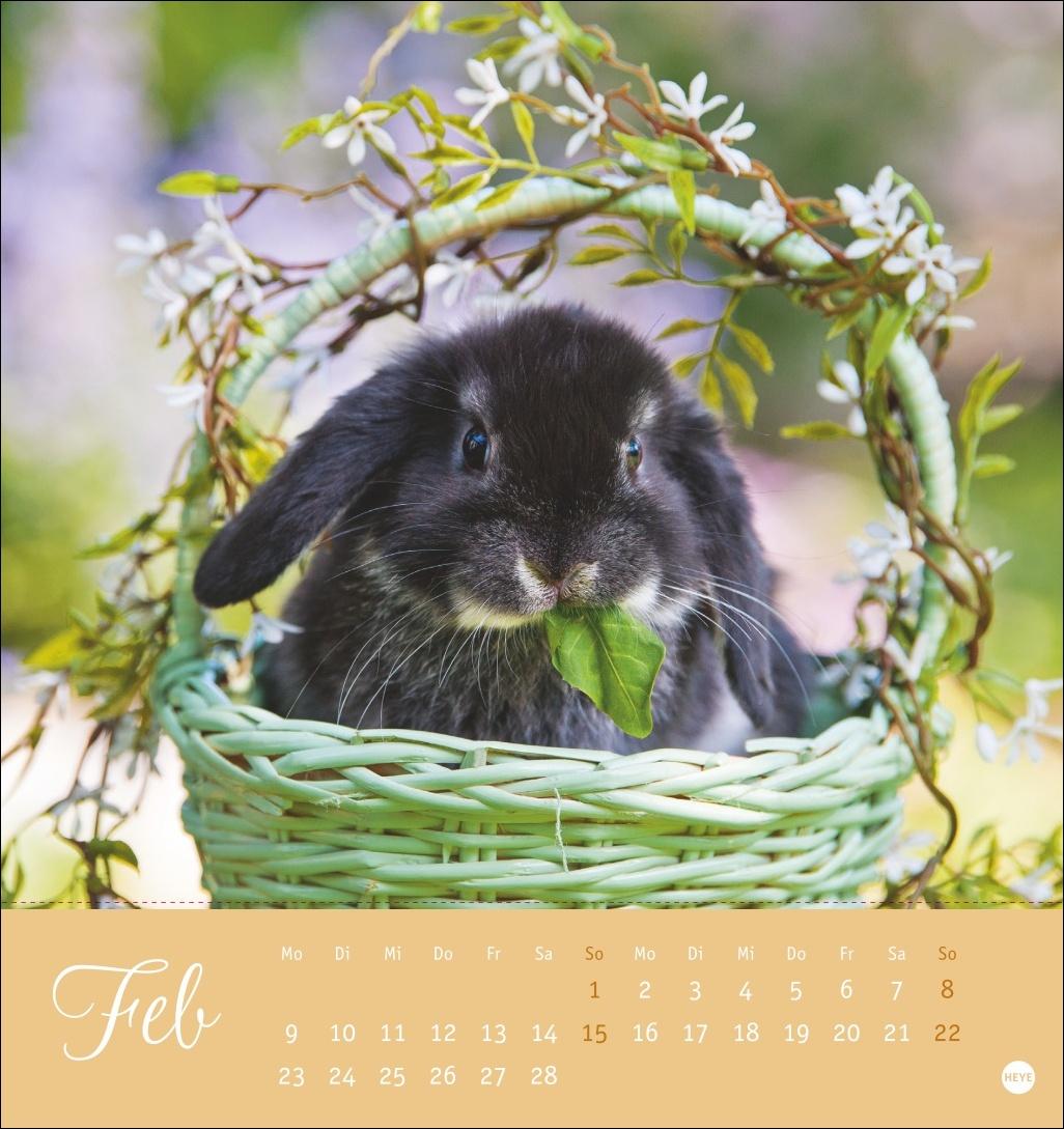 Bild: 9783756410033 | Süße Kaninchen Postkartenkalender 2026 | Monika Wegler | Kalender