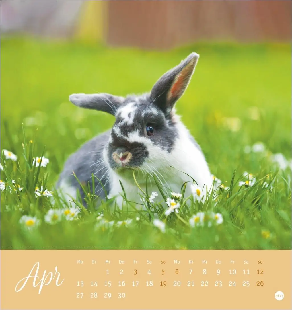 Bild: 9783756410033 | Süße Kaninchen Postkartenkalender 2026 | Monika Wegler | Kalender