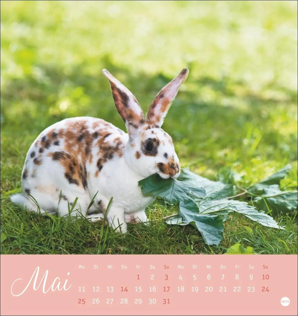 Bild: 9783756410033 | Süße Kaninchen Postkartenkalender 2026 | Monika Wegler | Kalender