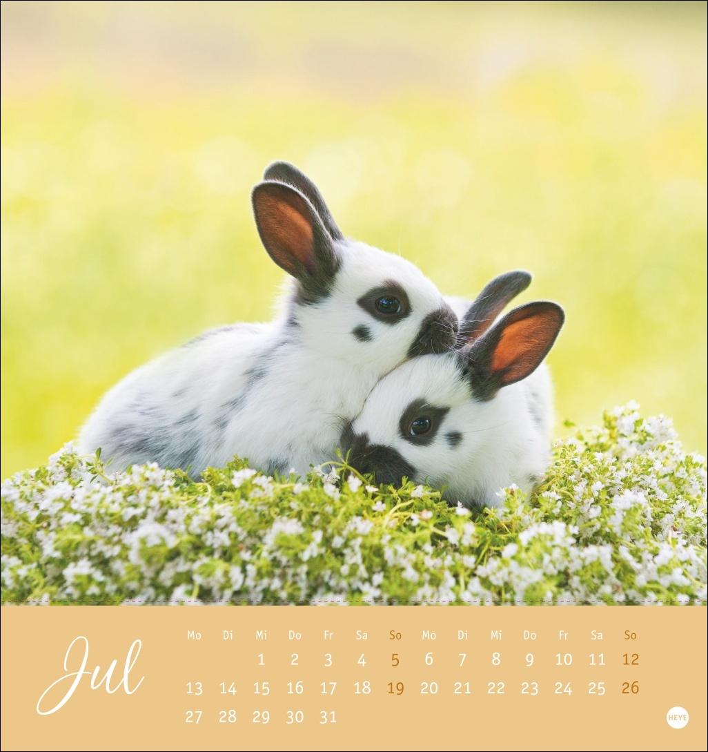 Bild: 9783756410033 | Süße Kaninchen Postkartenkalender 2026 | Monika Wegler | Kalender