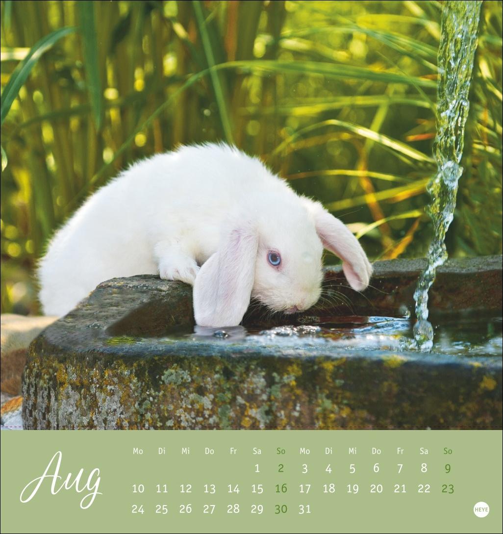 Bild: 9783756410033 | Süße Kaninchen Postkartenkalender 2026 | Monika Wegler | Kalender