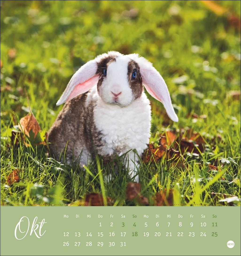 Bild: 9783756410033 | Süße Kaninchen Postkartenkalender 2026 | Monika Wegler | Kalender