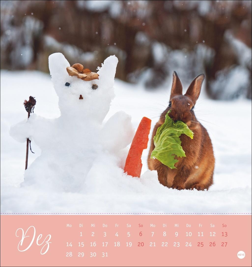 Bild: 9783756410033 | Süße Kaninchen Postkartenkalender 2026 | Monika Wegler | Kalender