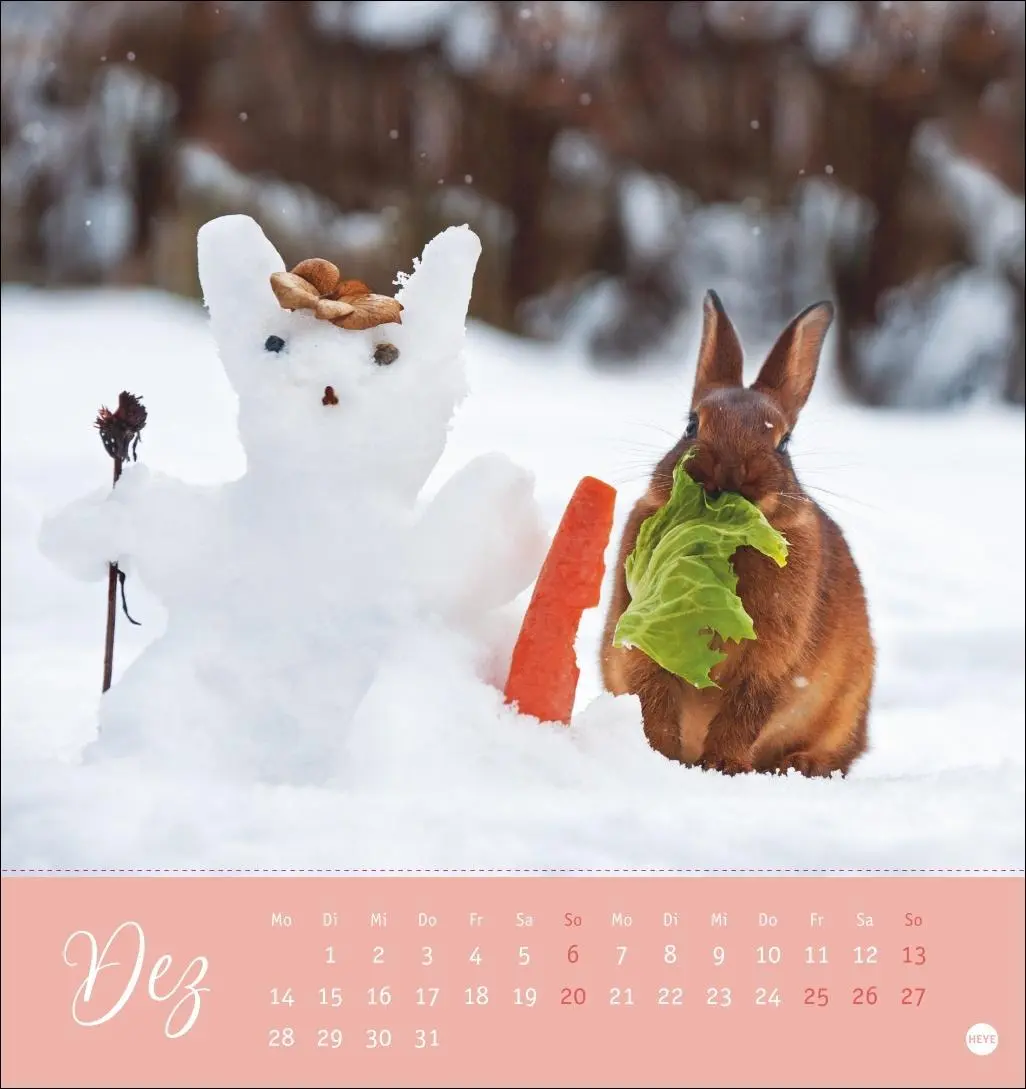 Bild: 9783756410033 | Süße Kaninchen Postkartenkalender 2026 | Monika Wegler | Kalender