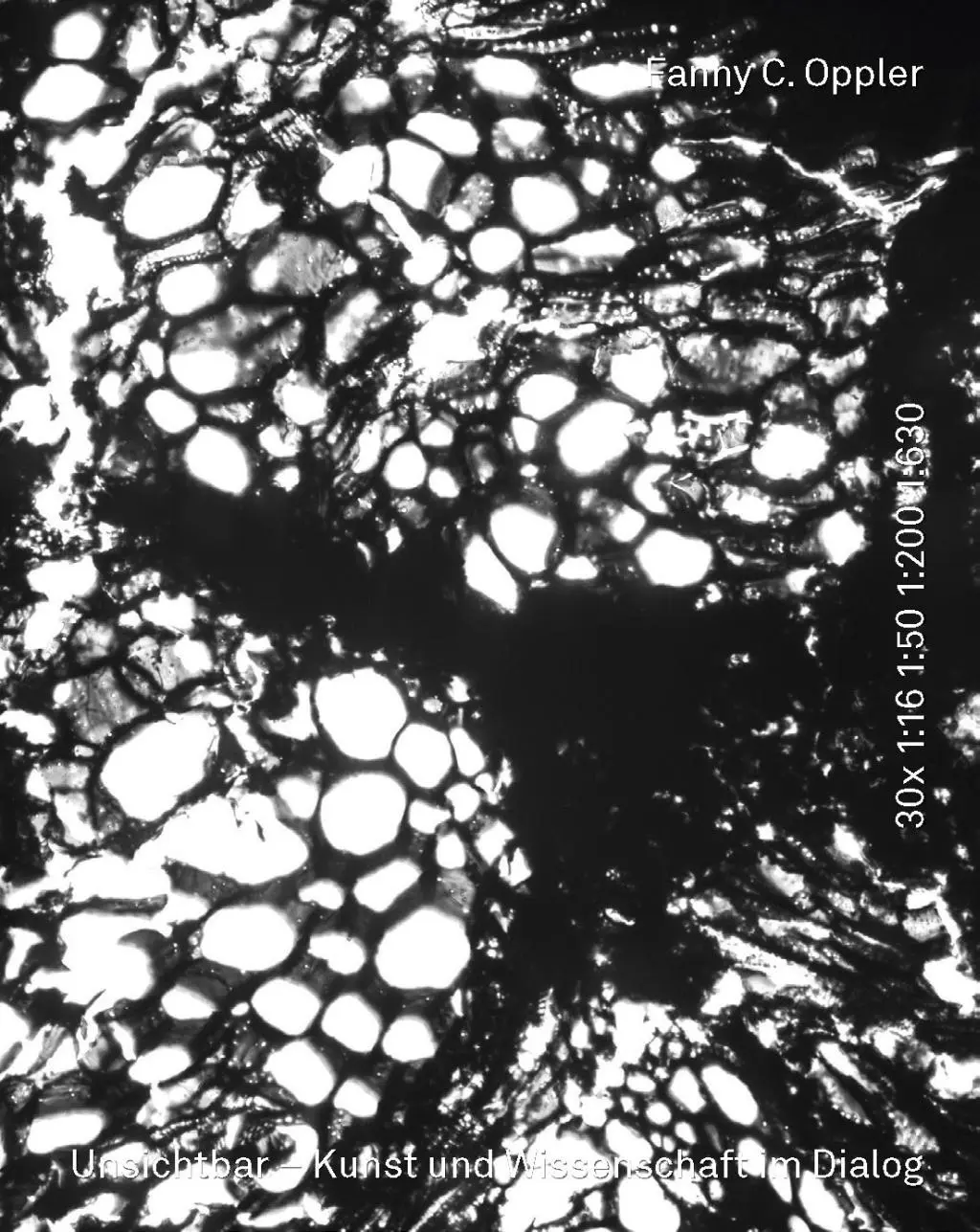 Cover: 9783952430033 | Unsichtbar - Kunst und Wissenschaft im Dialog | Fanny C Oppler | Buch