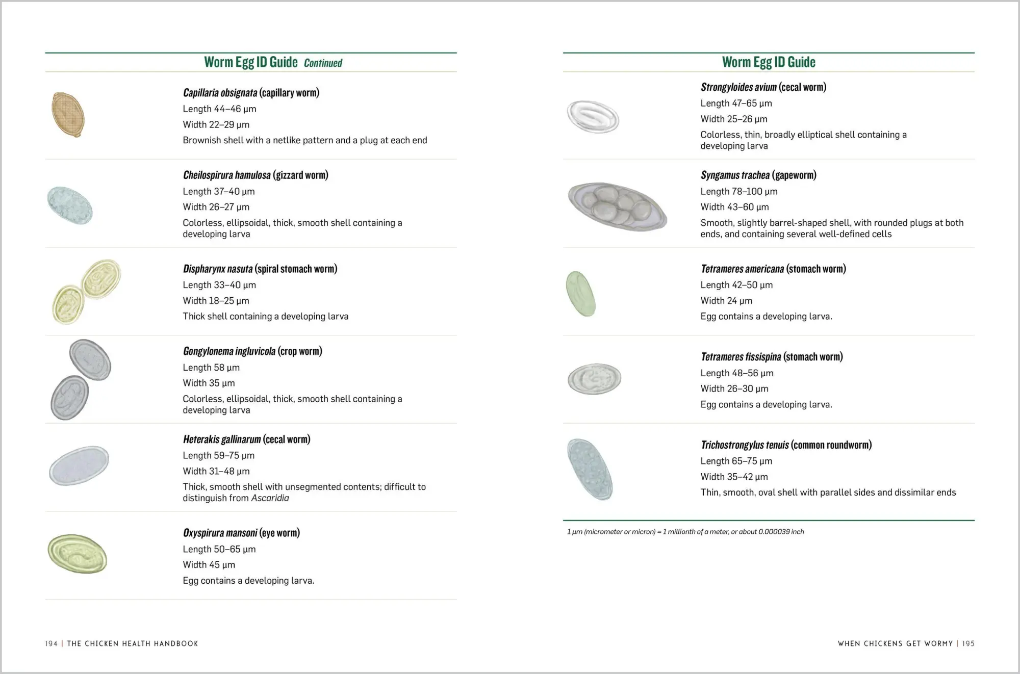 Bild: 9781612120133 | The Chicken Health Handbook | Gail Damerow | Taschenbuch | Englisch