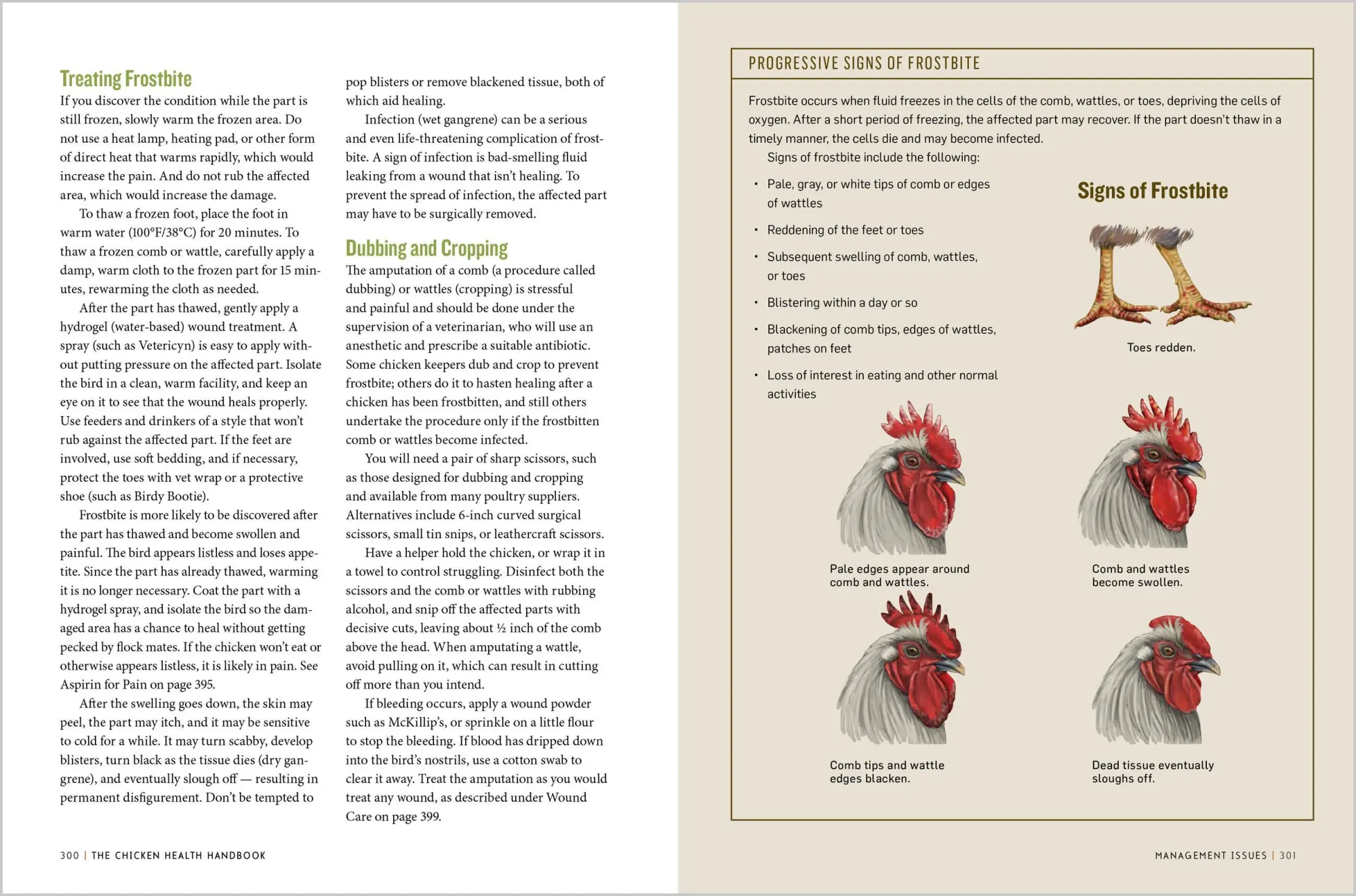 Bild: 9781612120133 | The Chicken Health Handbook | Gail Damerow | Taschenbuch | Englisch