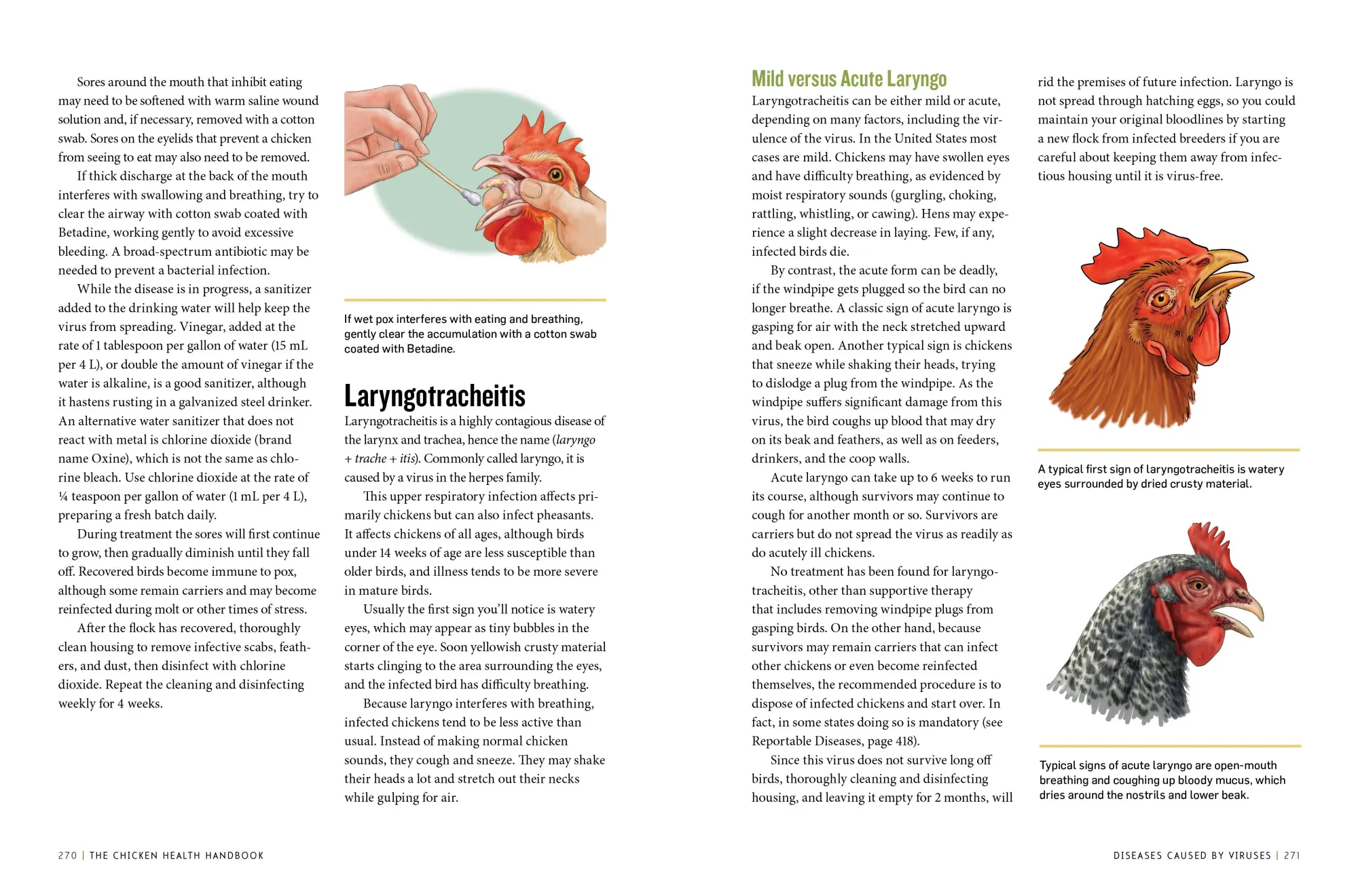 Bild: 9781612120133 | The Chicken Health Handbook | Gail Damerow | Taschenbuch | Englisch