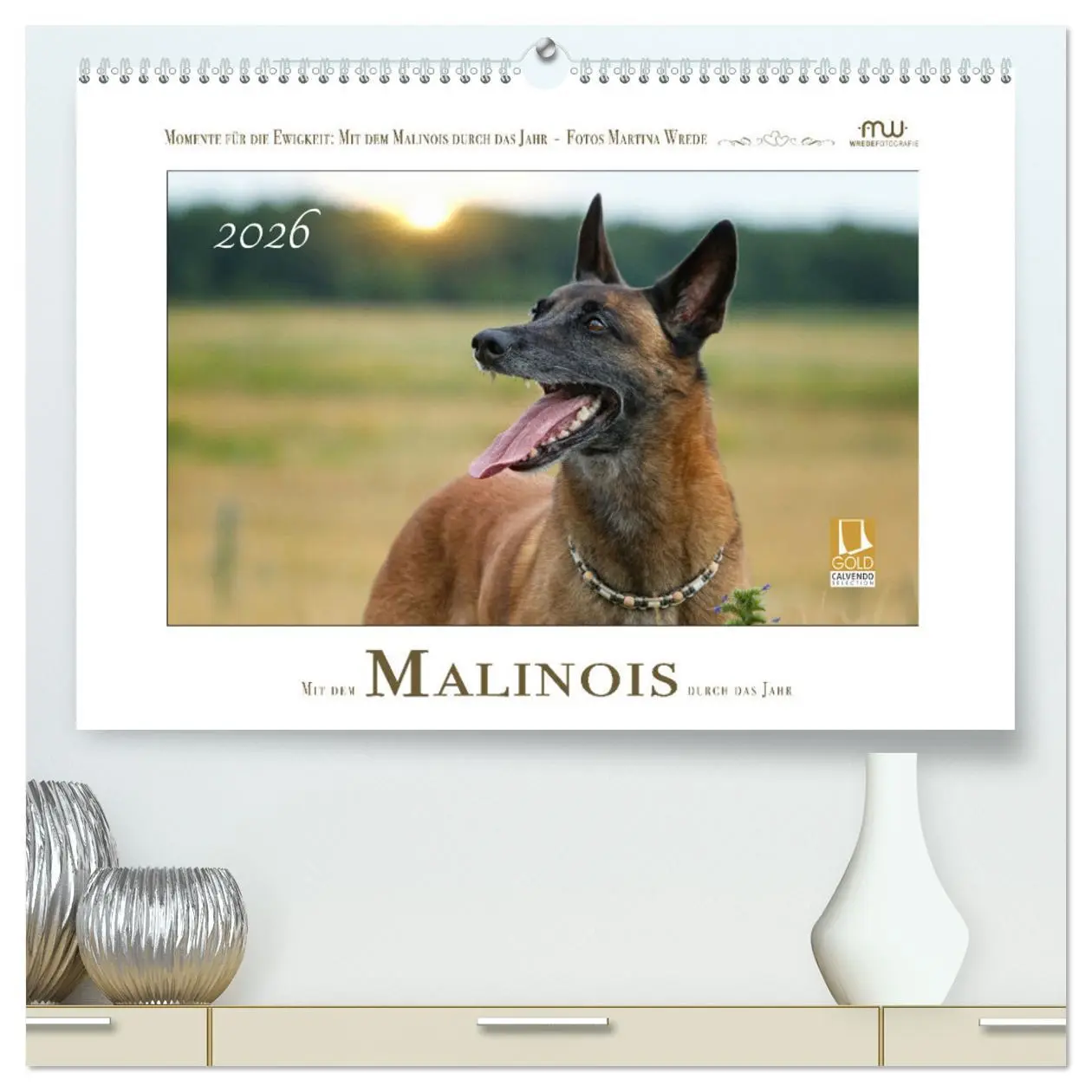 Cover: 9783457280133 | Mit dem Malinois durch das Jahr (hochwertiger Premium Wandkalender...