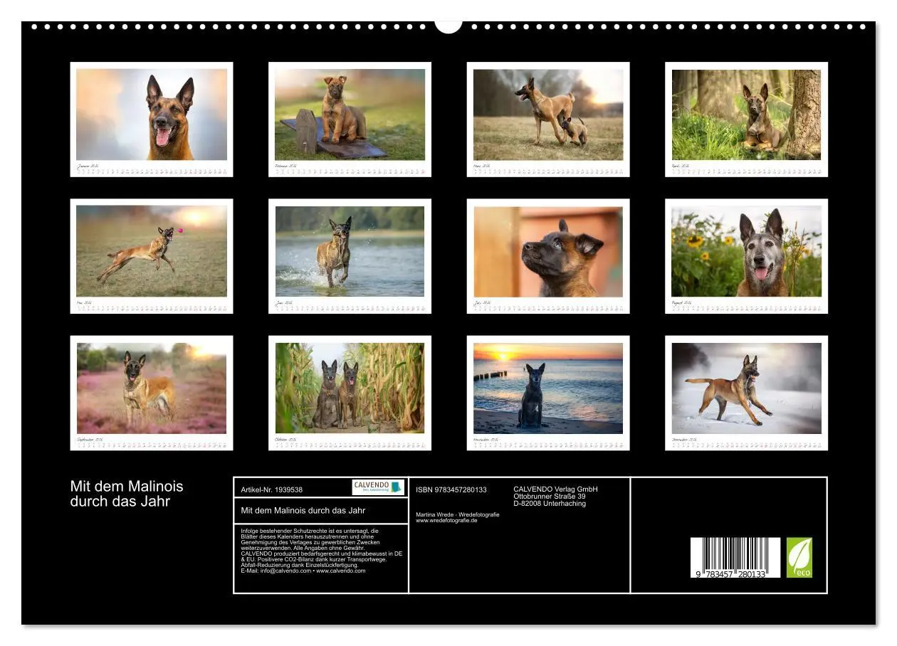 Bild: 9783457280133 | Mit dem Malinois durch das Jahr (hochwertiger Premium Wandkalender...