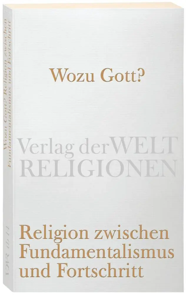 Cover: 9783458720133 | Wozu Gott? Religion zwischen Fundamentalismus und Fortschritt | Buch
