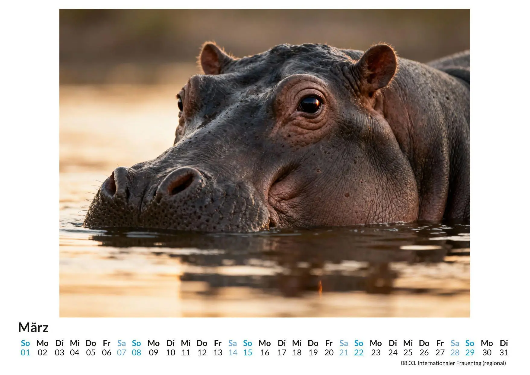 Bild: 9783695330133 | Nilpferd | Julian Maier | Kalender | Deutsch | 2026 | FlipFlop