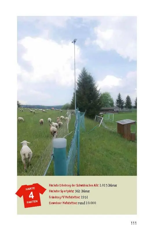 Bild: 9783964230133 | Fußballheimat Württemberg | 100 Orte der Erinnerung. Ein Reiseführer