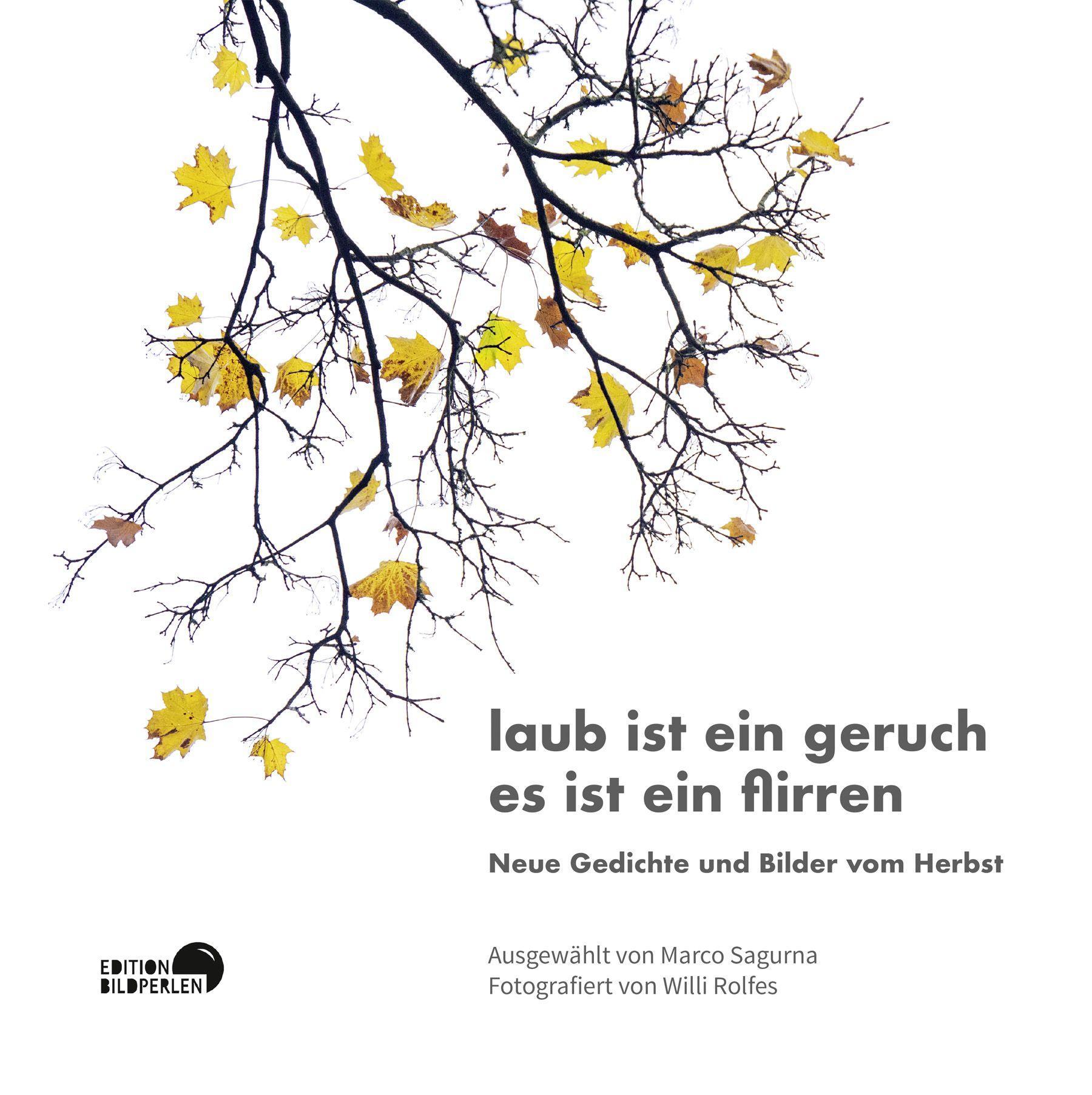 Cover: 9783965460133 | laub ist ein geruch es ist ein flirren | Michael Augustin (u. a.)