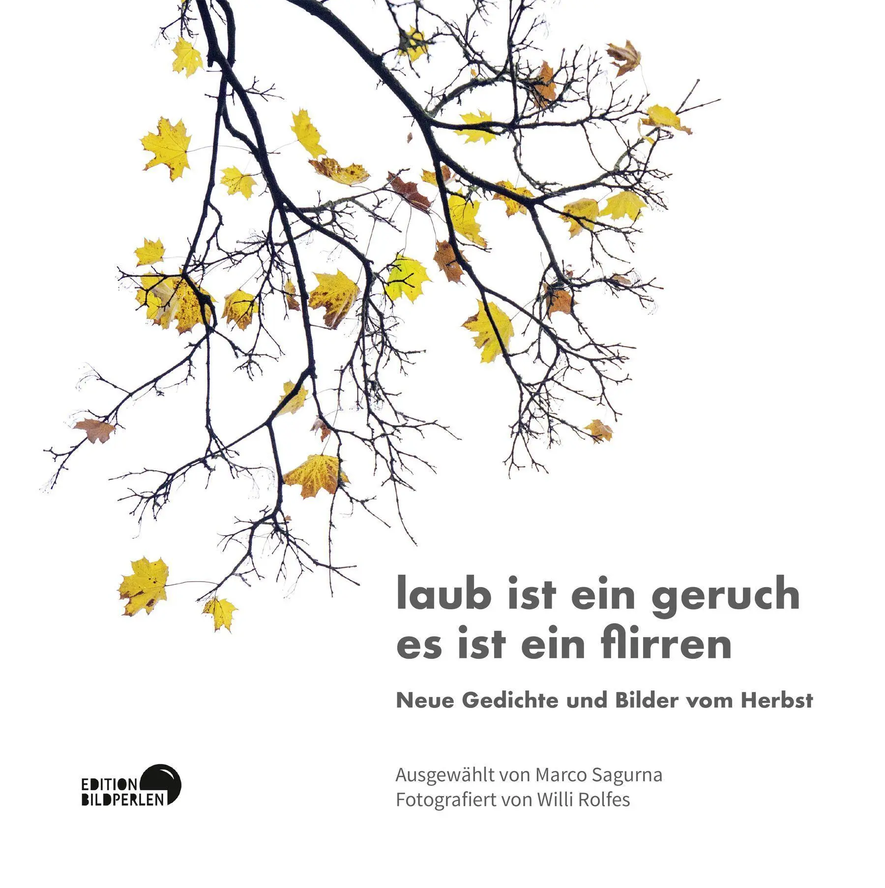 Cover: 9783965460133 | laub ist ein geruch es ist ein flirren | Michael Augustin (u. a.)