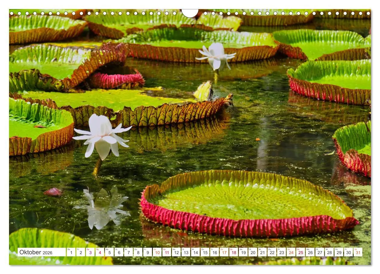 Bild: 9783457270233 | Mauritius - Schönheit im Indischen Ozean (Wandkalender 2026 DIN A3...