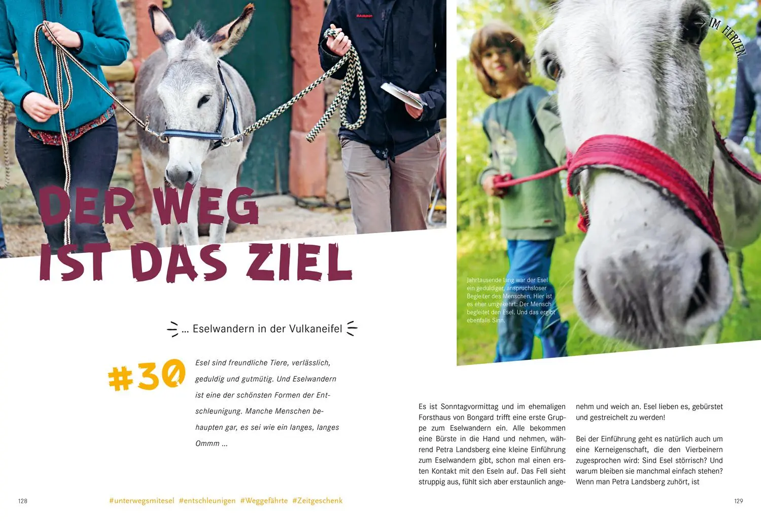 Bild: 9783616110233 | 52 kleine &amp; große Eskapaden in Deutschland Auf gehts zum Wandern