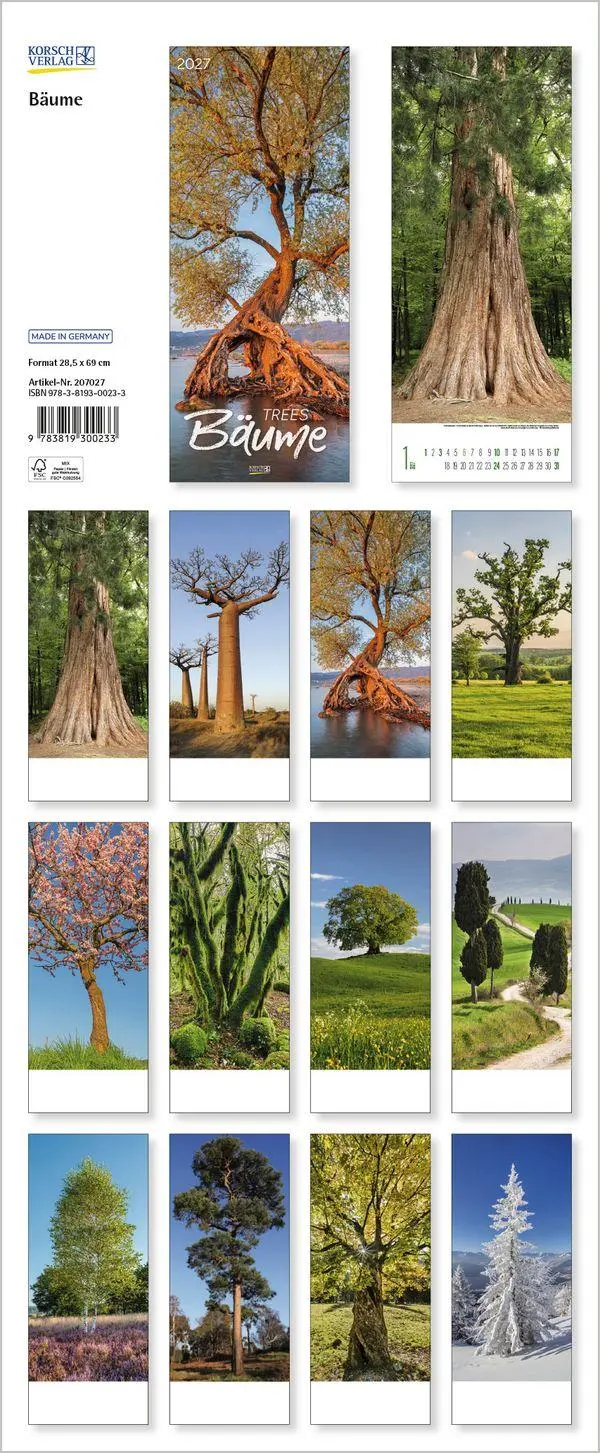 Bild: 9783819300233 | Bäume 2027 | Verlag Korsch | Kalender | Spiralbindung | 14 S. | 2027