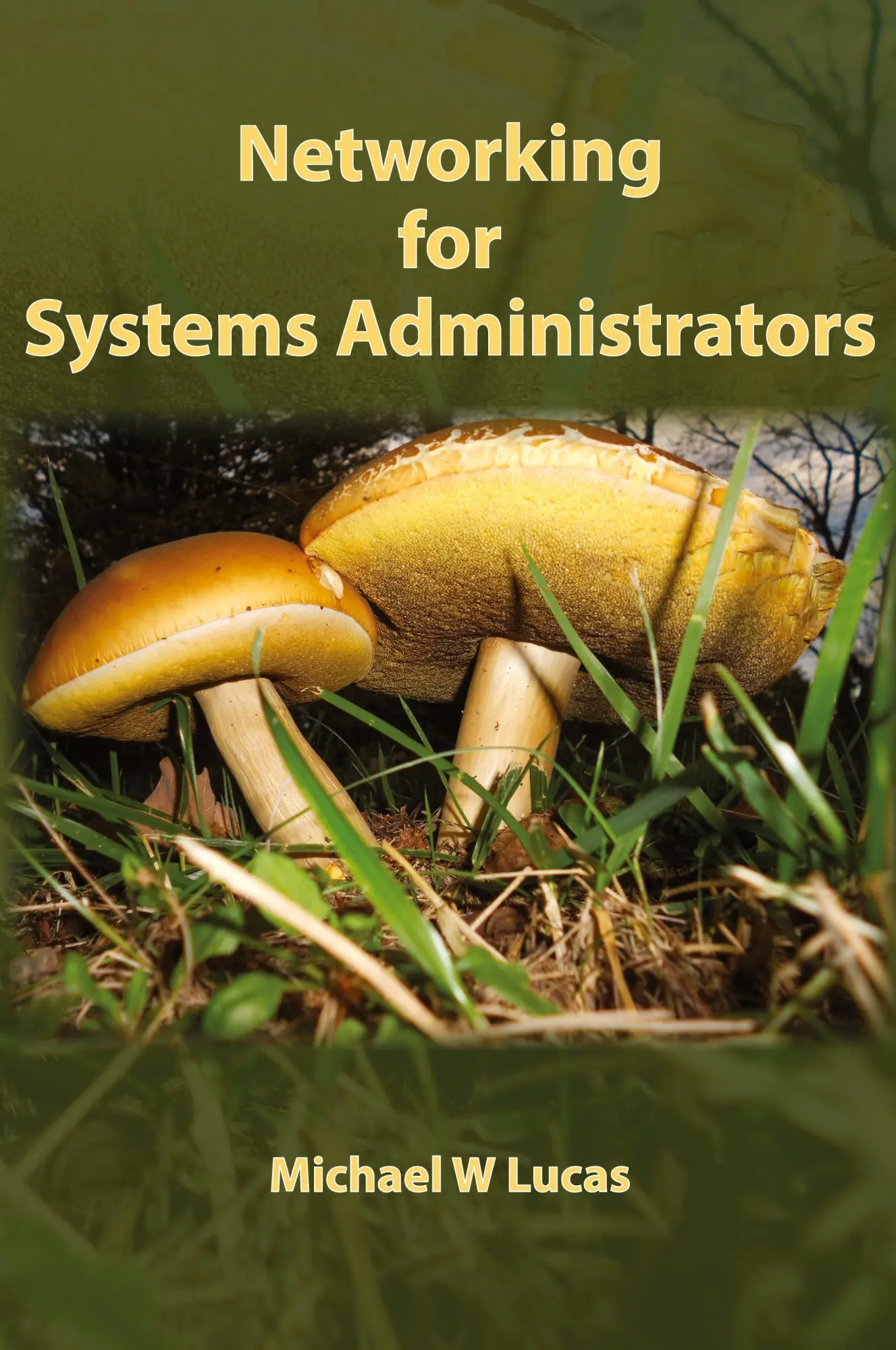 Cover: 9781642350333 | Networking for Systems Administrators | Michael W Lucas | Taschenbuch Cover: 9781642350333 | Networking for Systems Administrators | Michael W Lucas | Taschenbuch