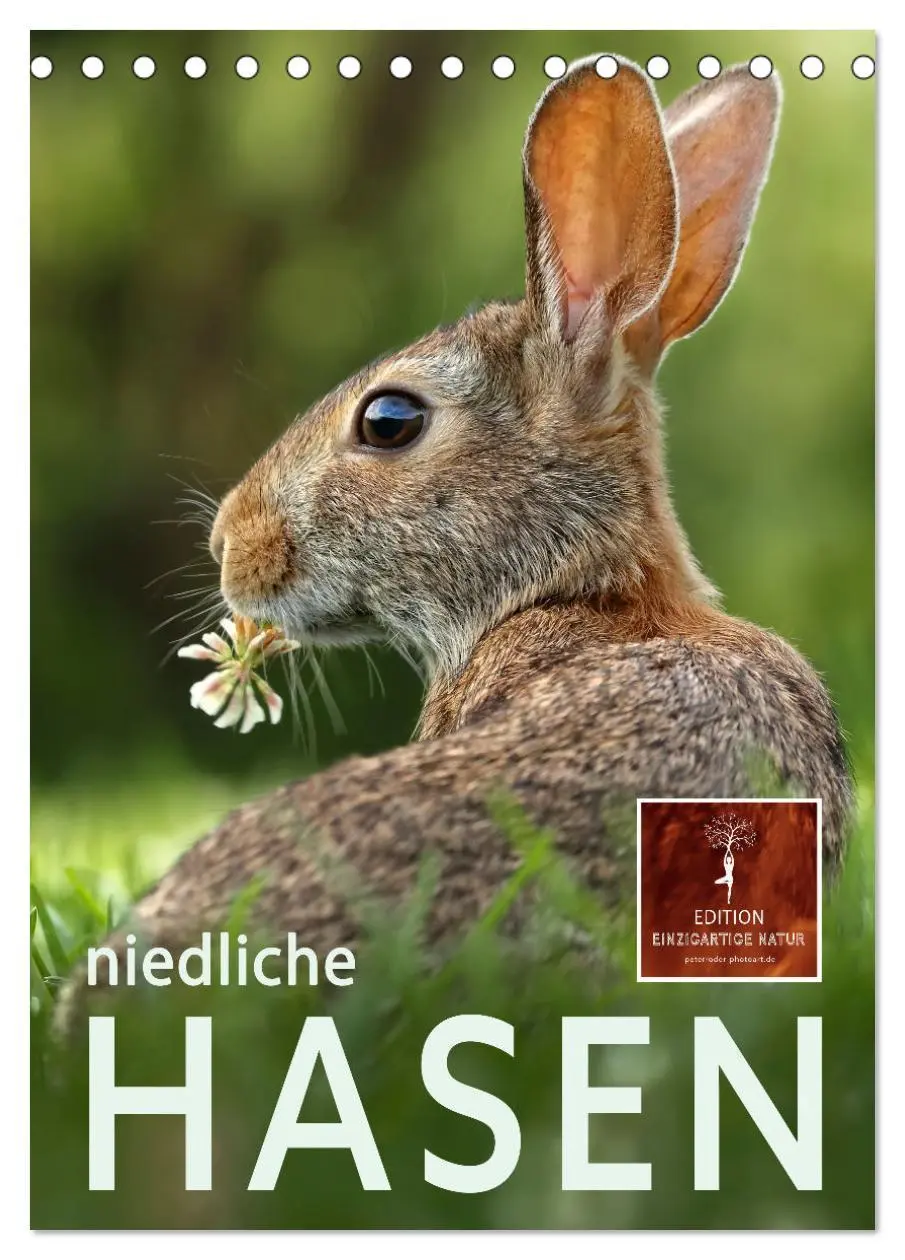 Cover: 9783435930333 | Niedliche Hasen (Tischkalender 2025 DIN A5 hoch), CALVENDO...