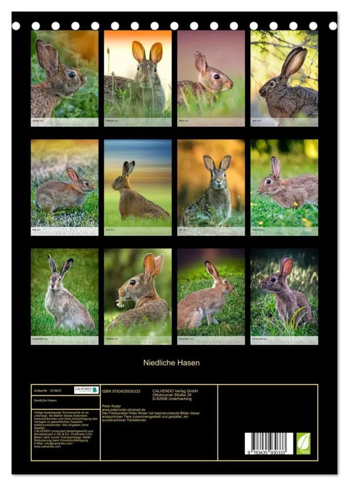 Bild: 9783435930333 | Niedliche Hasen (Tischkalender 2025 DIN A5 hoch), CALVENDO...