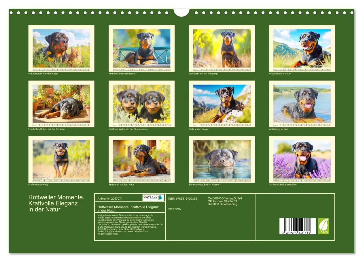 Bild: 9783516420333 | Rottweiler Momente. Kraftvolle Eleganz in der Natur (Wandkalender...