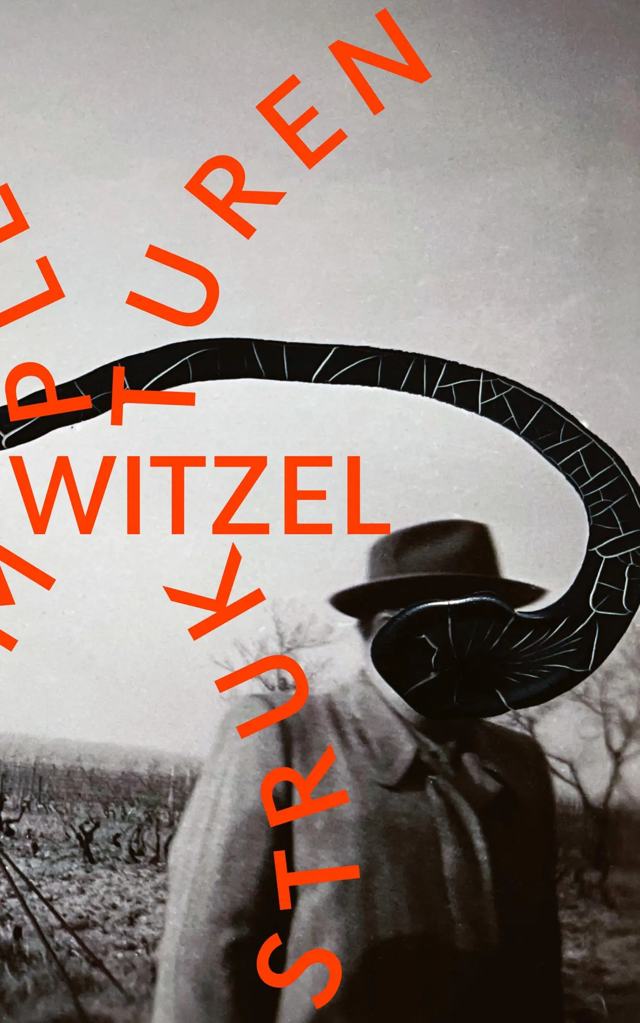Cover: 9783751810333 | Komplexe Strukturen | Frank Witzel | Buch | 362 S. | Deutsch | 2025