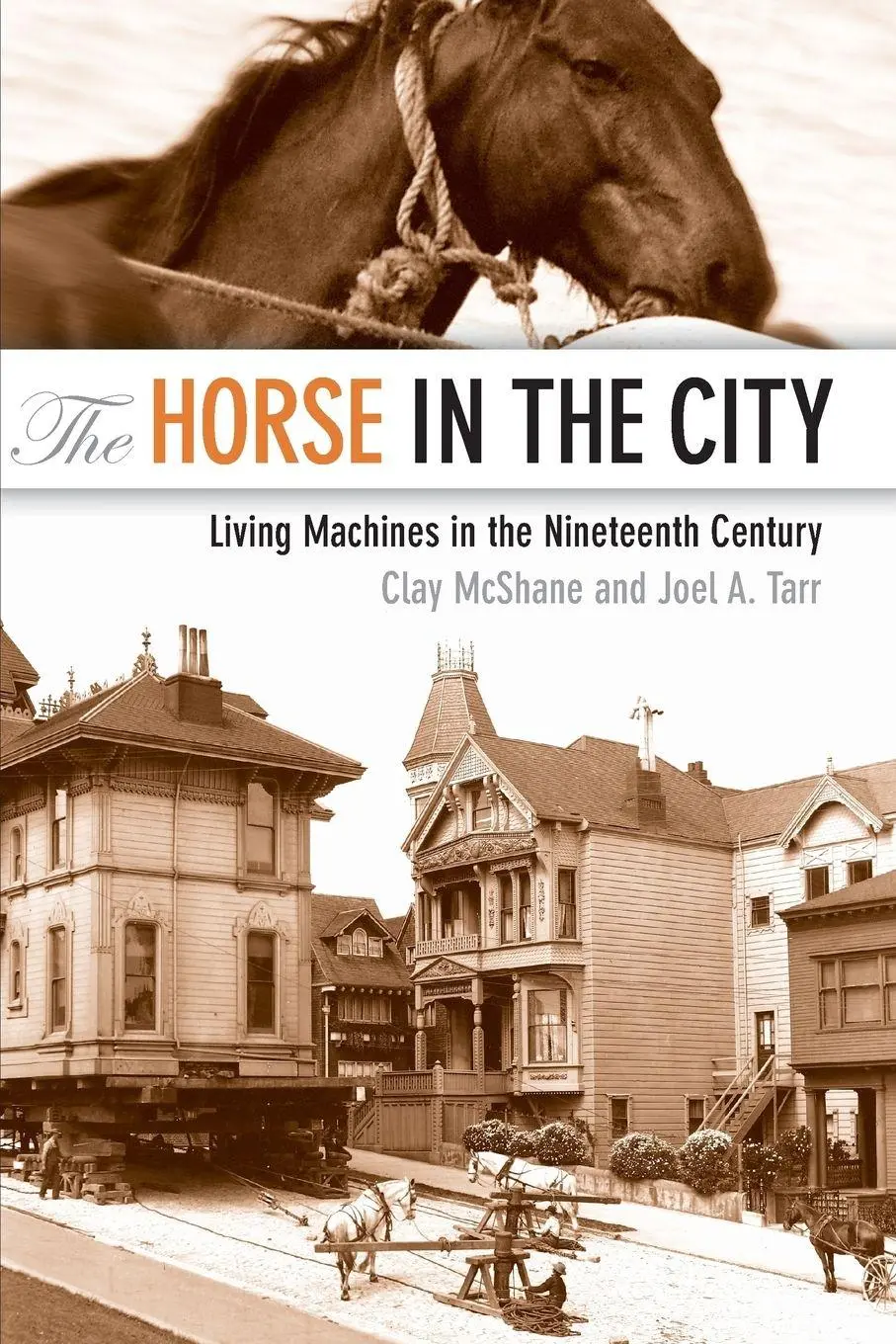 Cover: 9781421400433 | The Horse in the City | Living Machines in the Nineteenth Century