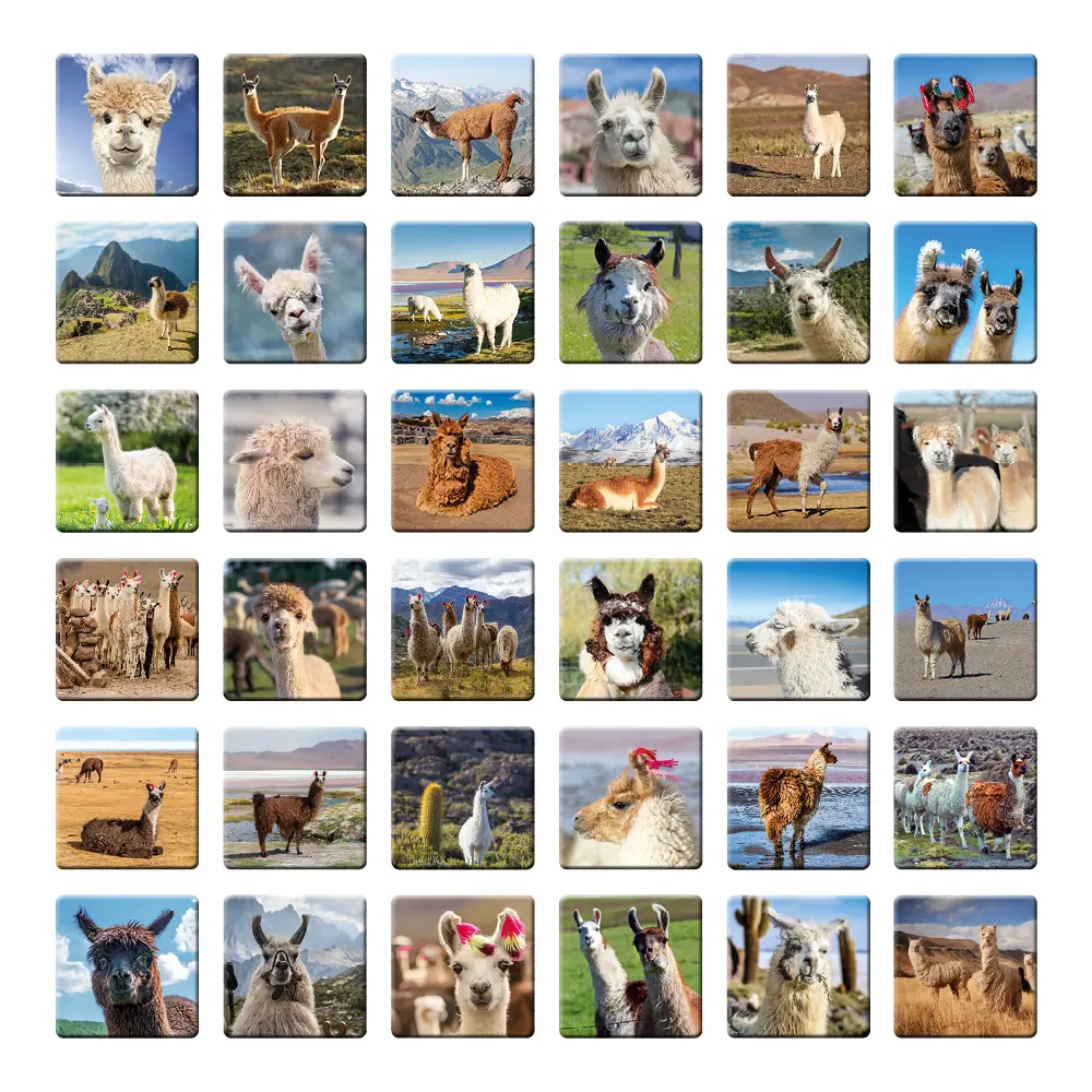 Bild: 4260472860533 | Lama Memo | Tanja Philippeit | Spiel | Deutsch | 2021