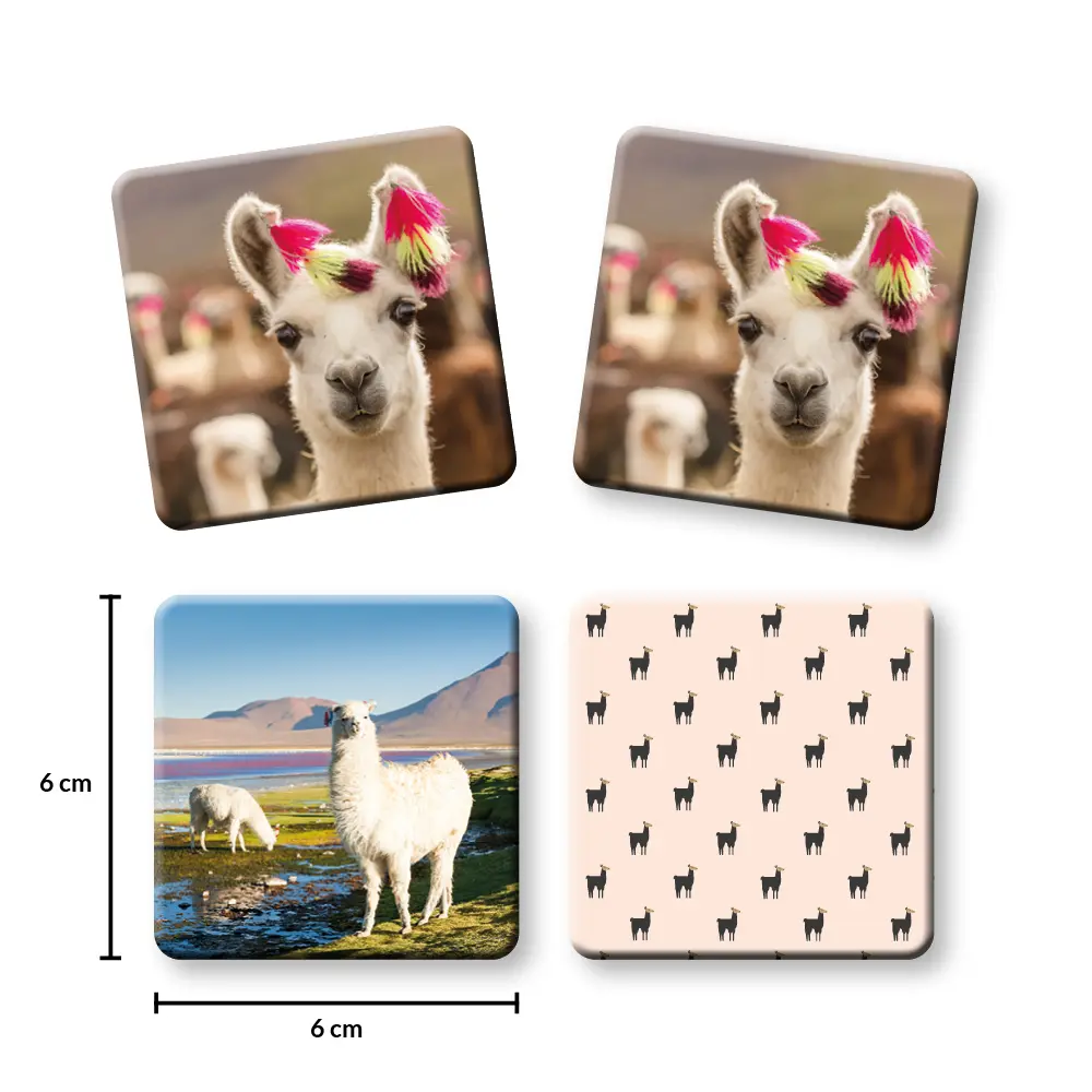 Bild: 4260472860533 | Lama Memo | Tanja Philippeit | Spiel | Deutsch | 2021