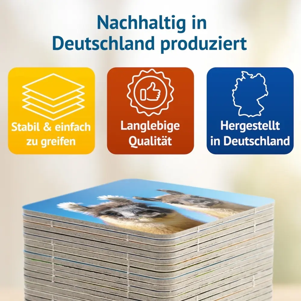 Bild: 4260472860533 | Lama Memo | Tanja Philippeit | Spiel | Deutsch | 2021