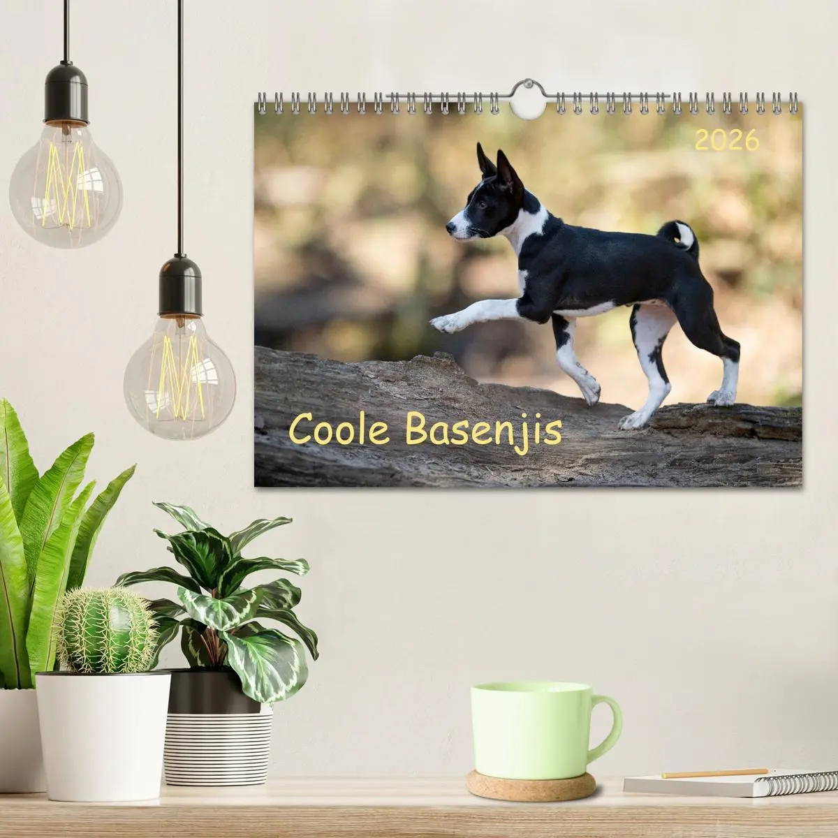 Bild: 9783457620533 | Coole Basenjis (Wandkalender 2026 DIN A4 quer), CALVENDO...