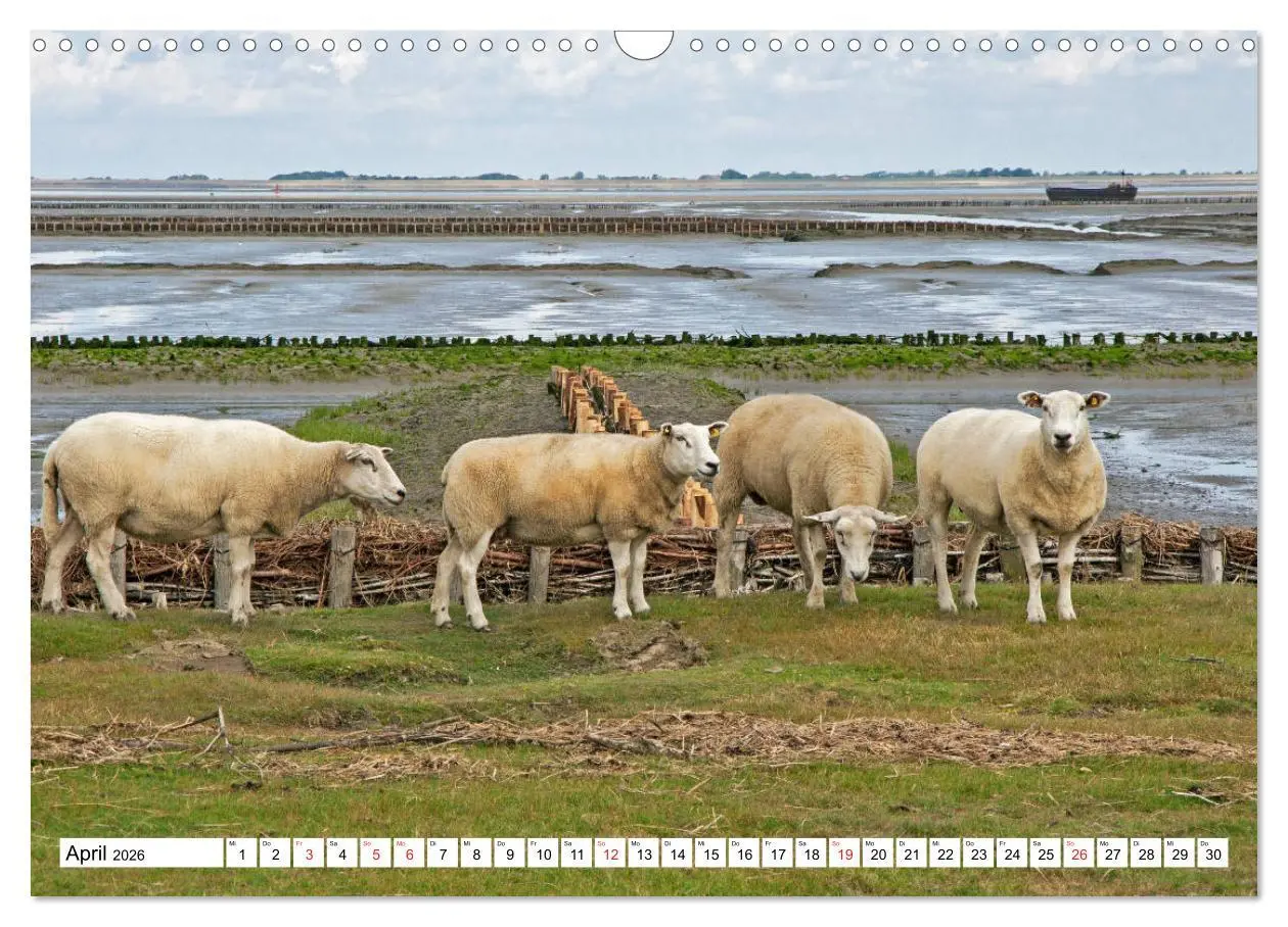 Bild: 9783457930533 | Die Nordsee zwischen Stade und Pellworm (Wandkalender 2026 DIN A3...