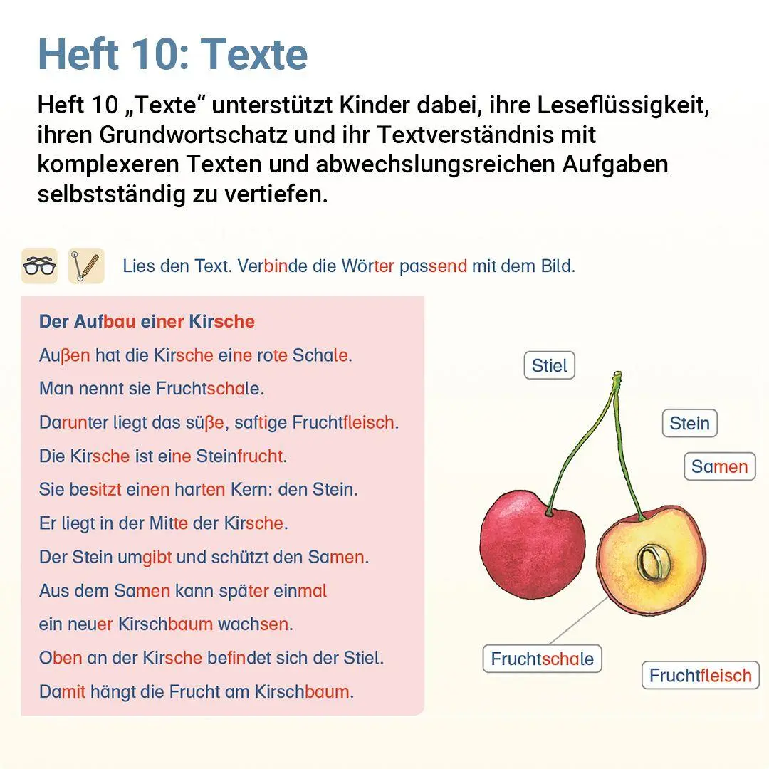 Bild: 9783619220533 | Lesen mit Rico Schnabel, Heft 10: Texte | Stefanie Drecktrah (u. a.)